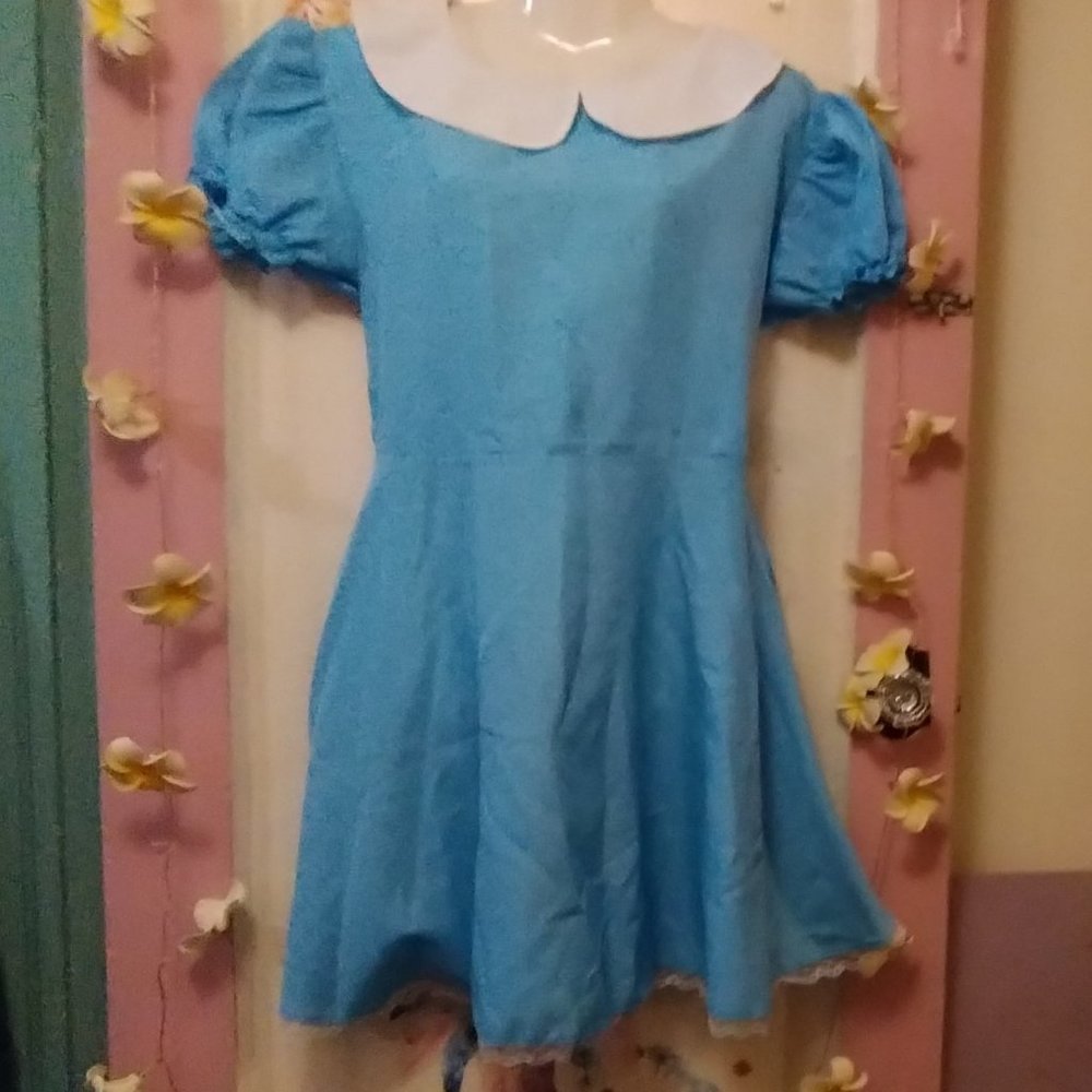 Fun Shack (M) French Maid in Blue with Apron - Picture 3 of 13